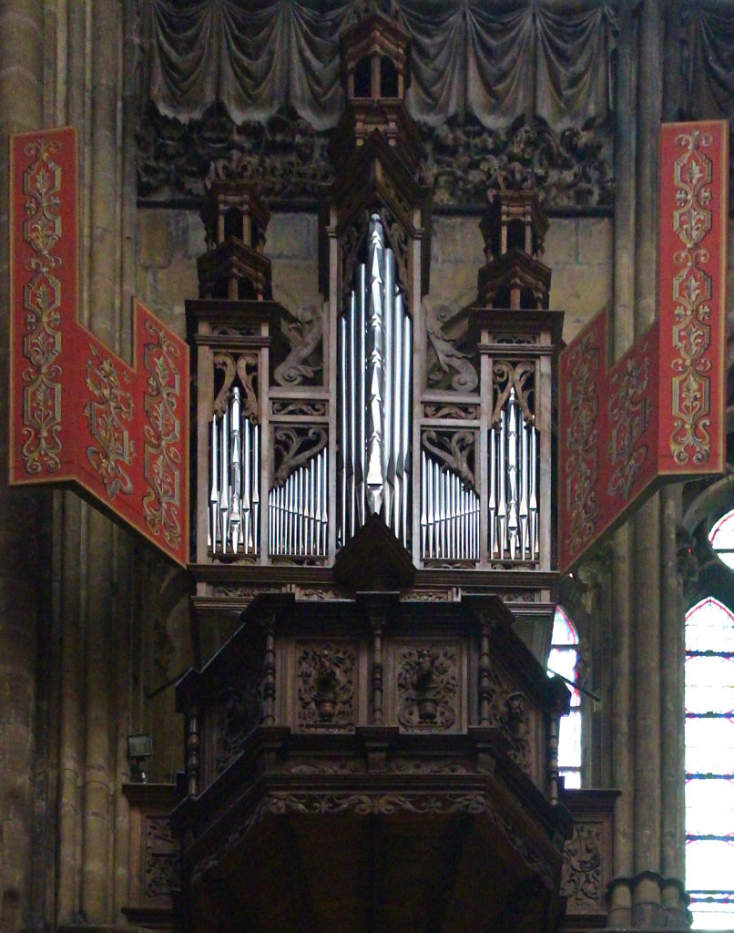 Nest-Orgel geöffnet